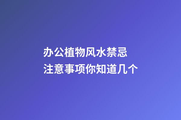 办公植物风水禁忌 注意事项你知道几个